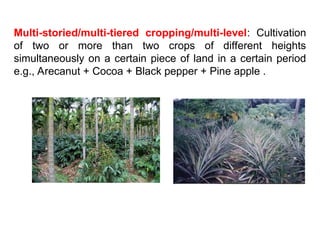 Multi-storied/multi-tiered cropping/multi-level: Cultivation
of two or more than two crops of different heights
simultaneously on a certain piece of land in a certain period
e.g., Arecanut + Cocoa + Black pepper + Pine apple .
 