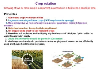 Growing of two or more crop in a recurrent succession in a field over a period of time
Principles
1. Tap rooted crops vs fibrous crops
2. Legume vs non-leguminous crops ( N/ P requirements synergy)
3. More exhaustive vs non exhaustive eg .potato, sugarcane, maize fb legume /
oilseeds
4. Selection based on house hold demand based
5. On sloppy lands erect vs soil resistant crops
6. Based on soil moisture availability eg. dry land mustard/ chickpea / pearl millet. In
water logged jute/ paddy
7. Crops of same family should be grown in succession
8. Ideal crop rotation should provide maximum employment, resources are efficiently
used and house hold income increases.
Crop rotation
 