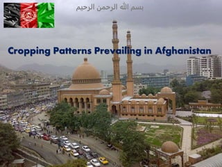 Cropping Patterns Prevailing in Afghanistan
‫الرحیم‬ ‫الرحمن‬ ‫هللا‬ ‫بسم‬
 