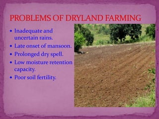  Inadequate and
uncertain rains.
 Late onset of mansoon.
 Prolonged dry spell.
 Low moisture retention
capacity.
 Poor soil fertility.
 