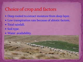  Deep rooted to extract moisture from deep layer.
 Low transpiration rate because of abiotic factors.
 Total rainfall.
 Soil type.
 Water availability.
 