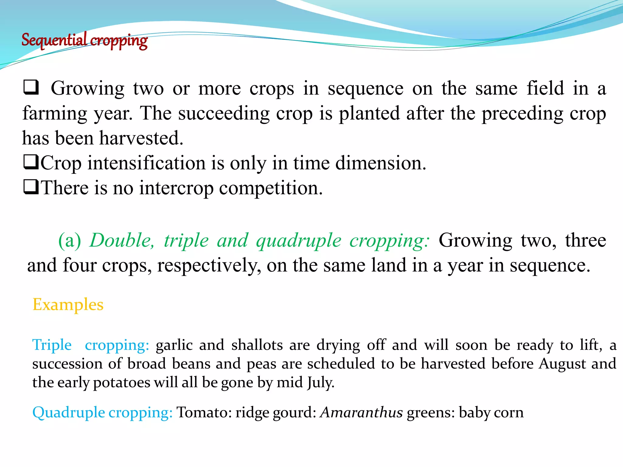 Sequential cropping
 Growing two or more crops in sequence on the same field in a
farming year. The succeeding crop is planted after the preceding crop
has been harvested.
Crop intensification is only in time dimension.
There is no intercrop competition.
(a) Double, triple and quadruple cropping: Growing two, three
and four crops, respectively, on the same land in a year in sequence.
Quadruple cropping: Tomato: ridge gourd: Amaranthus greens: baby corn
Examples
Triple cropping: garlic and shallots are drying off and will soon be ready to lift, a
succession of broad beans and peas are scheduled to be harvested before August and
the early potatoes will all be gone by mid July.
 