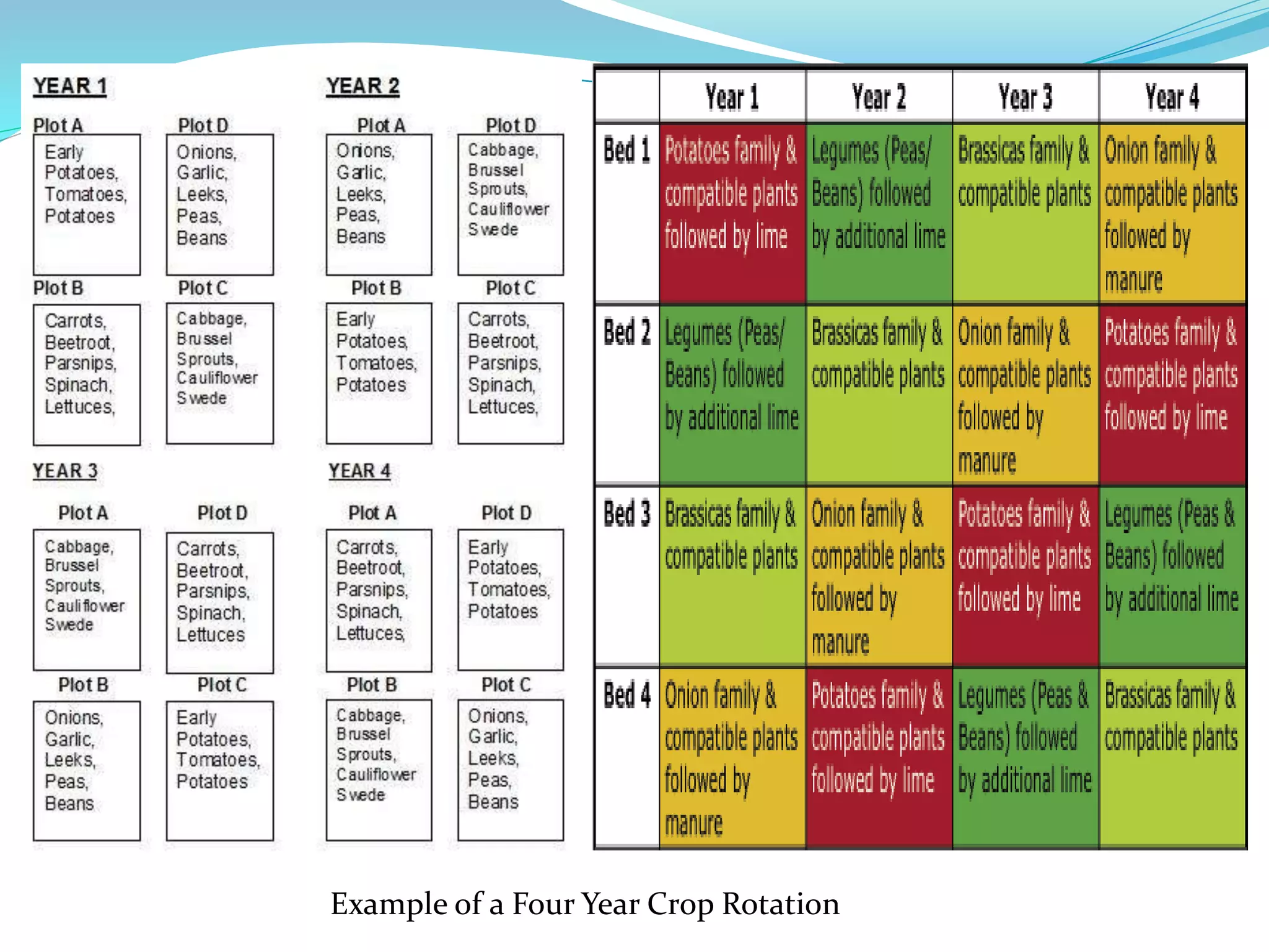 Example of a Four Year Crop Rotation
 