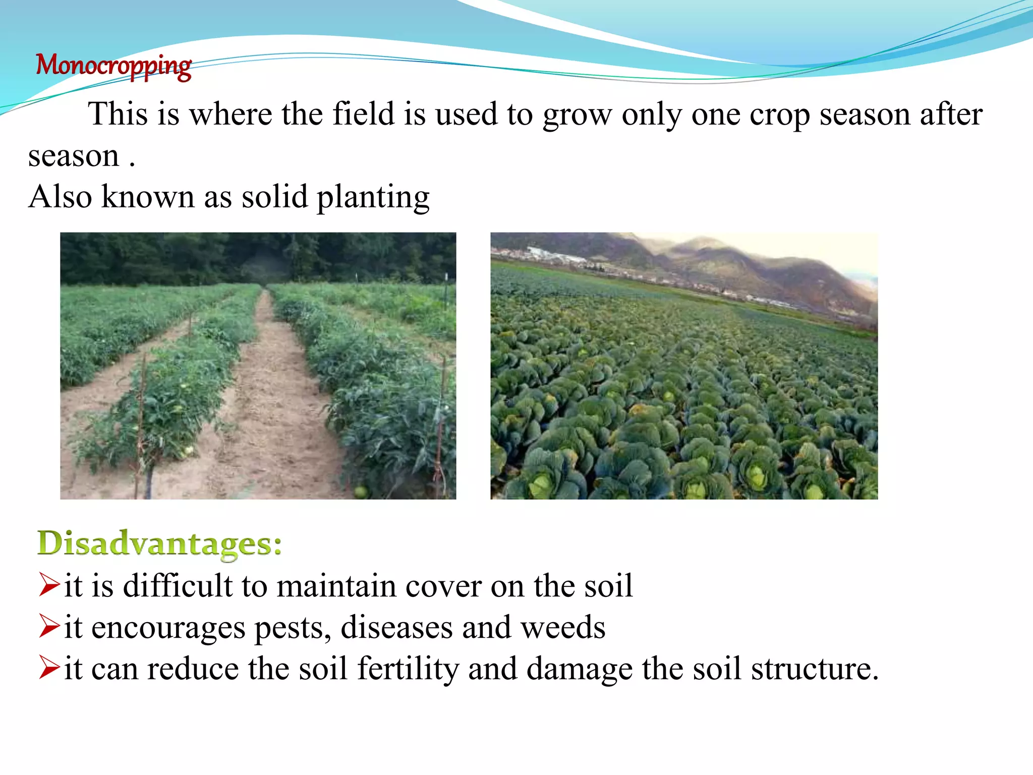 Monocropping
This is where the field is used to grow only one crop season after
season .
Also known as solid planting
it is difficult to maintain cover on the soil
it encourages pests, diseases and weeds
it can reduce the soil fertility and damage the soil structure.
 