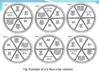Cropping systems in vegetables | PPTX