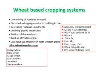 Deficiency of major nutrient
N,P and K is widespread
49% of soils deficient in Zn
50% in S
12% in Fe,
5% in Mn,
3% in copper (Cu),
33% in boron (B) and
11% in molybdenum (Mo).
Fallow-wheat
Bajra-wheat
Maize-wheat
MB/UB-wheat
Tur-wheat
Soybean-wheat
 