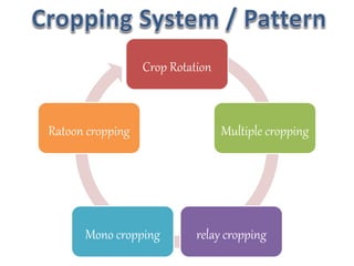 Crop Rotation
Multiple cropping
relay cropping
Mono cropping
Ratoon cropping
 