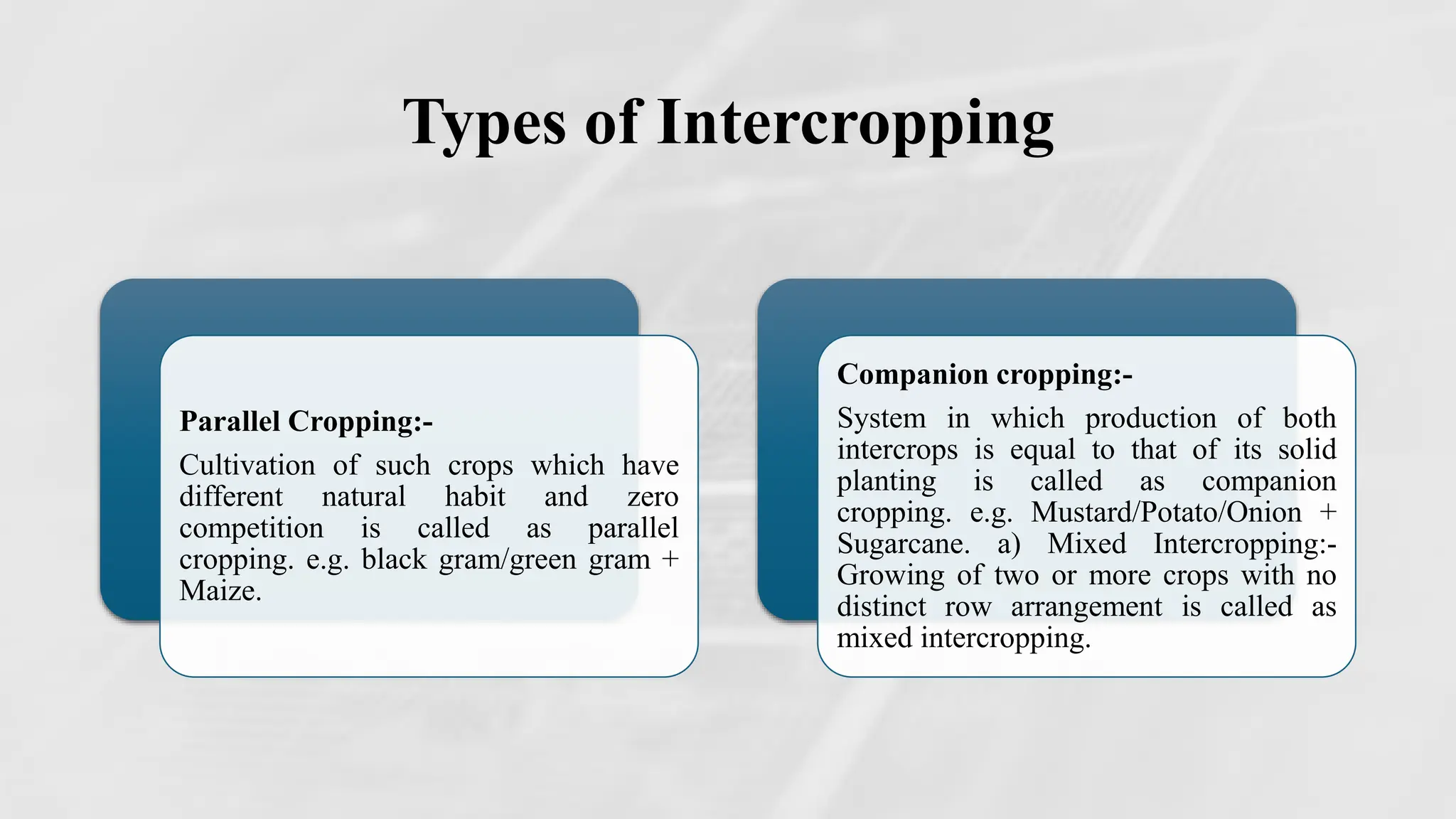Types of Intercropping
Parallel Cropping:-
Cultivation of such crops which have
different natural habit and zero
competition is called as parallel
cropping. e.g. black gram/green gram +
Maize.
Companion cropping:-
System in which production of both
intercrops is equal to that of its solid
planting is called as companion
cropping. e.g. Mustard/Potato/Onion +
Sugarcane. a) Mixed Intercropping:-
Growing of two or more crops with no
distinct row arrangement is called as
mixed intercropping.
 
