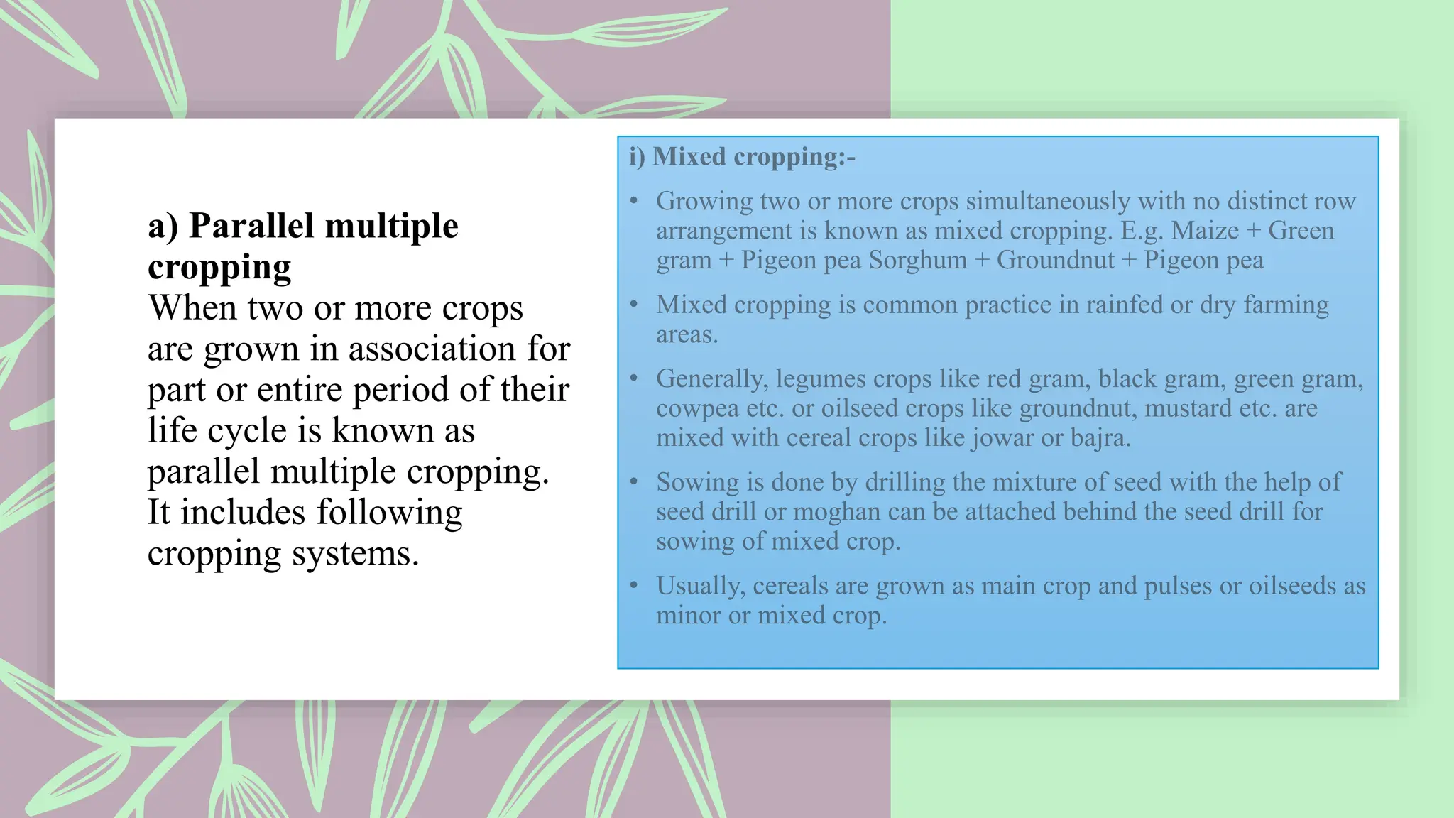 a) Parallel multiple
cropping
When two or more crops
are grown in association for
part or entire period of their
life cycle is known as
parallel multiple cropping.
It includes following
cropping systems.
 