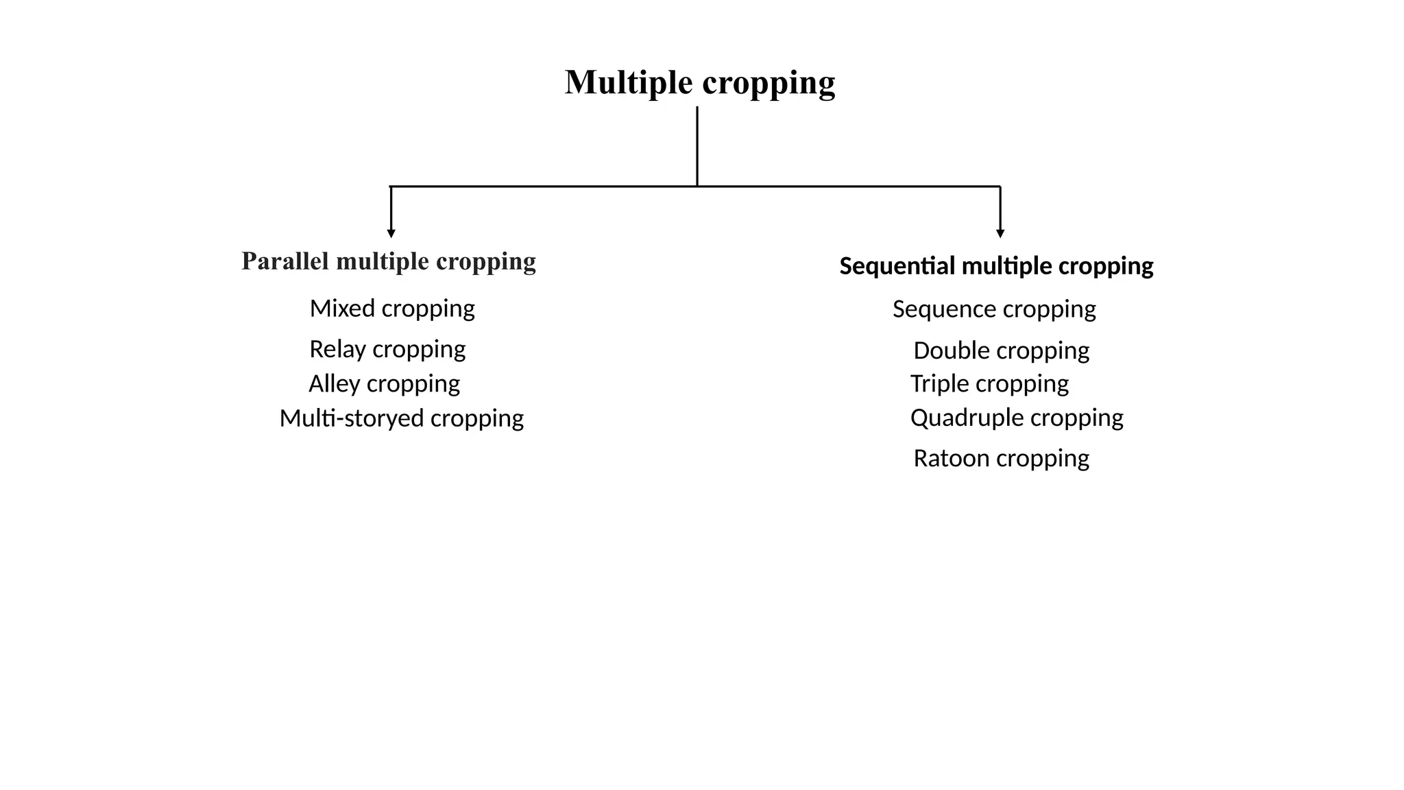 Multiple cropping
Parallel multiple cropping Sequential multiple cropping
Mixed cropping
Relay cropping
Alley cropping
Multi-storyed cropping
Sequence cropping
Double cropping
Triple cropping
Quadruple cropping
Ratoon cropping
 