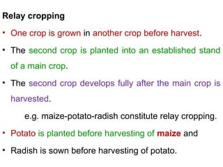 Comprehensive Overview of Cropping Systems: Intercropping and Multi ...