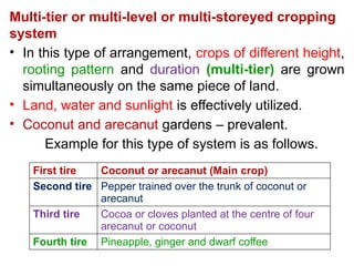 Comprehensive Overview of Cropping Systems: Intercropping and Multi ...