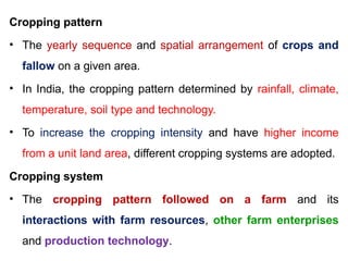 Comprehensive Overview of Cropping Systems: Intercropping and Multi ...