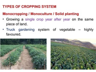 Comprehensive Overview of Cropping Systems: Intercropping and Multi ...