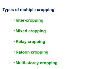 Comprehensive Overview of Cropping Systems: Intercropping and Multi ...