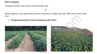 Cropping System and cropping Pattern PDF (1).pdf