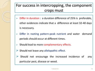For success in intercropping, the component
crops must
 Differ in duration : a duration difference of 25% is preferable,
other evidences indicate that a difference at least 32-40 days
is necessary.
 Differ in rooting pattern-peak nutrient and water demand
periods should occur at different times.
 Should lead to more complementary effects.
 Should not leave any allelopathic effect.
 Should not encourage the increased incidence of any
particular pest, disease or weed.
1/28/2018 14
 