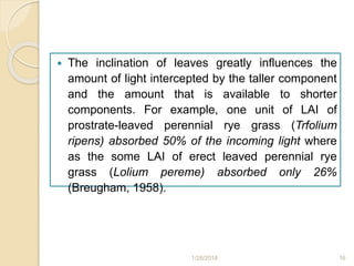  The inclination of leaves greatly influences the
amount of light intercepted by the taller component
and the amount that is available to shorter
components. For example, one unit of LAI of
prostrate-leaved perennial rye grass (Trfolium
ripens) absorbed 50% of the incoming light where
as the some LAI of erect leaved perennial rye
grass (Lolium pereme) absorbed only 26%
(Breugham, 1958).
1/28/2018 16
 