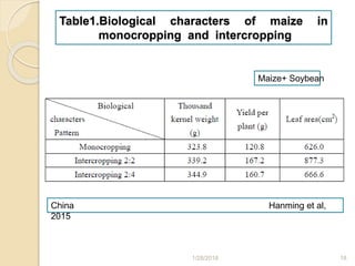 Table1.Biological characters of maize in
monocropping and intercropping
1/28/2018 18
Maize+ Soybean
China Hanming et al,
2015
 
