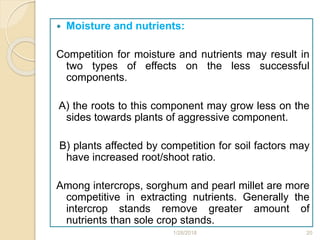  Moisture and nutrients:
Competition for moisture and nutrients may result in
two types of effects on the less successful
components.
A) the roots to this component may grow less on the
sides towards plants of aggressive component.
B) plants affected by competition for soil factors may
have increased root/shoot ratio.
Among intercrops, sorghum and pearl millet are more
competitive in extracting nutrients. Generally the
intercrop stands remove greater amount of
nutrients than sole crop stands.
1/28/2018 20
 