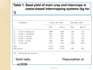 Table 1. Seed yield of main crop and intercrops in
castor-based intercropping systems (kg ha-
1)
Tamil nadu Thanunathan et
al,2008
1/28/2018 22
 