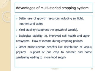Advantages of multi-storied cropping system
 Better use of growth resources including sunlight,
nutrient and water.
 Yield stability (suppress the growth of weeds).
 Ecological stability i.e. improved soil health and agro-
ecosystem. Flow of income during cropping periods.
 Other miscellaneous benefits like distribution of labour,
physical support of one crop to another and home
gardening leading to more food supply.
1/28/2018 24
 