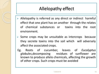 Allelopathy effect
 Allelopathy is referred as any direct or indirect harmful
effect that one plant has on another through the relates
of chemical substances or toxins into the root
environment.
 Some crops may be unsuitable as intercrops because
they secrete toxins into the soil which will adversely
affect the associated crops.
Eg. Roots of cucumber, leaves of Eucalyptus
globules,decomposing residues of sunflower are
known to produce allelo chemicals, affecting the growth
of other crops. Such crops must be avoided
1/28/2018 43
 