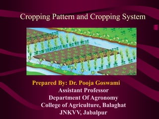 Prepared By: Dr. Pooja Goswami
Assistant Professor
Department Of Agronomy
College of Agriculture, Balaghat
JNKVV, Jabalpur
Cropping Pattern and Cropping System
 