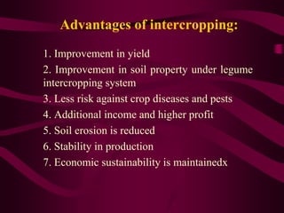 Advantages of intercropping:
1. Improvement in yield
2. Improvement in soil property under legume
intercropping system
3. Less risk against crop diseases and pests
4. Additional income and higher profit
5. Soil erosion is reduced
6. Stability in production
7. Economic sustainability is maintainedx
 