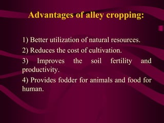 Advantages of alley cropping:
1) Better utilization of natural resources.
2) Reduces the cost of cultivation.
3) Improves the soil fertility and
productivity.
4) Provides fodder for animals and food for
human.
 