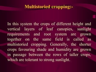 Multistoried cropping:-
In this system the crops of different height and
vertical layers of leaf canopies, sunlight
requirements and root system are grown
together on the same field is called as
multistoried cropping. Generally, the shorter
crops favouring shade and humidity are grown
in passage between the rows of taller crops,
which are tolerant to strong sunlight.
 