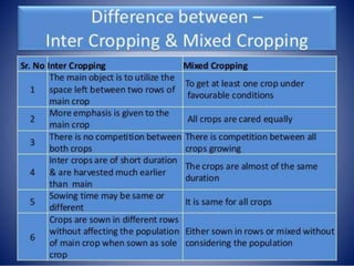 Cropping Systems.pptx