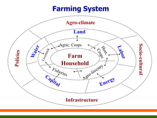 Cropping Systems.pptx