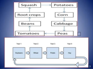 Cropping Systems.pptx