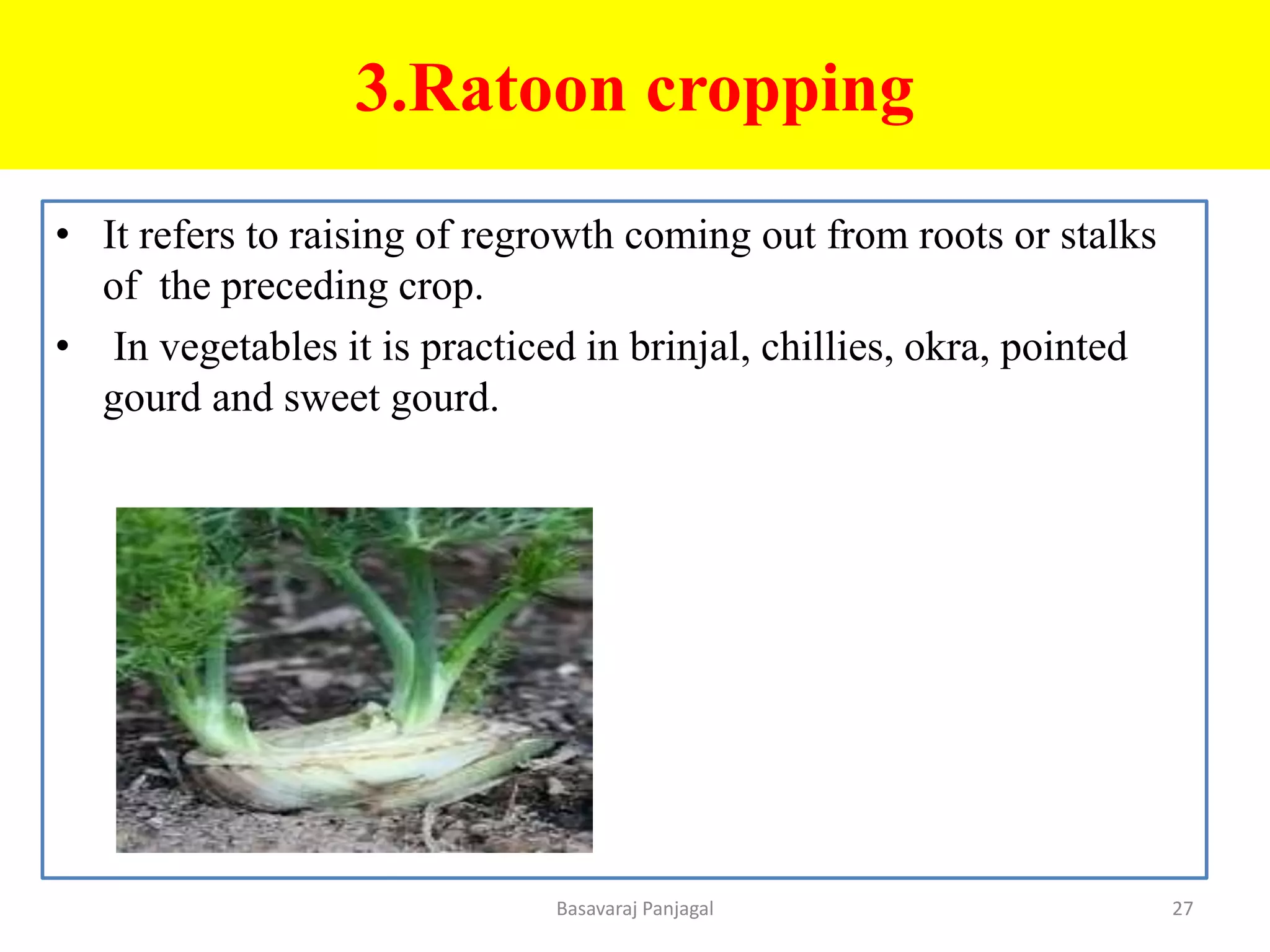 3.Ratoon cropping
• It refers to raising of regrowth coming out from roots or stalks
of the preceding crop.
• In vegetables it is practiced in brinjal, chillies, okra, pointed
gourd and sweet gourd.
27
Basavaraj Panjagal
 