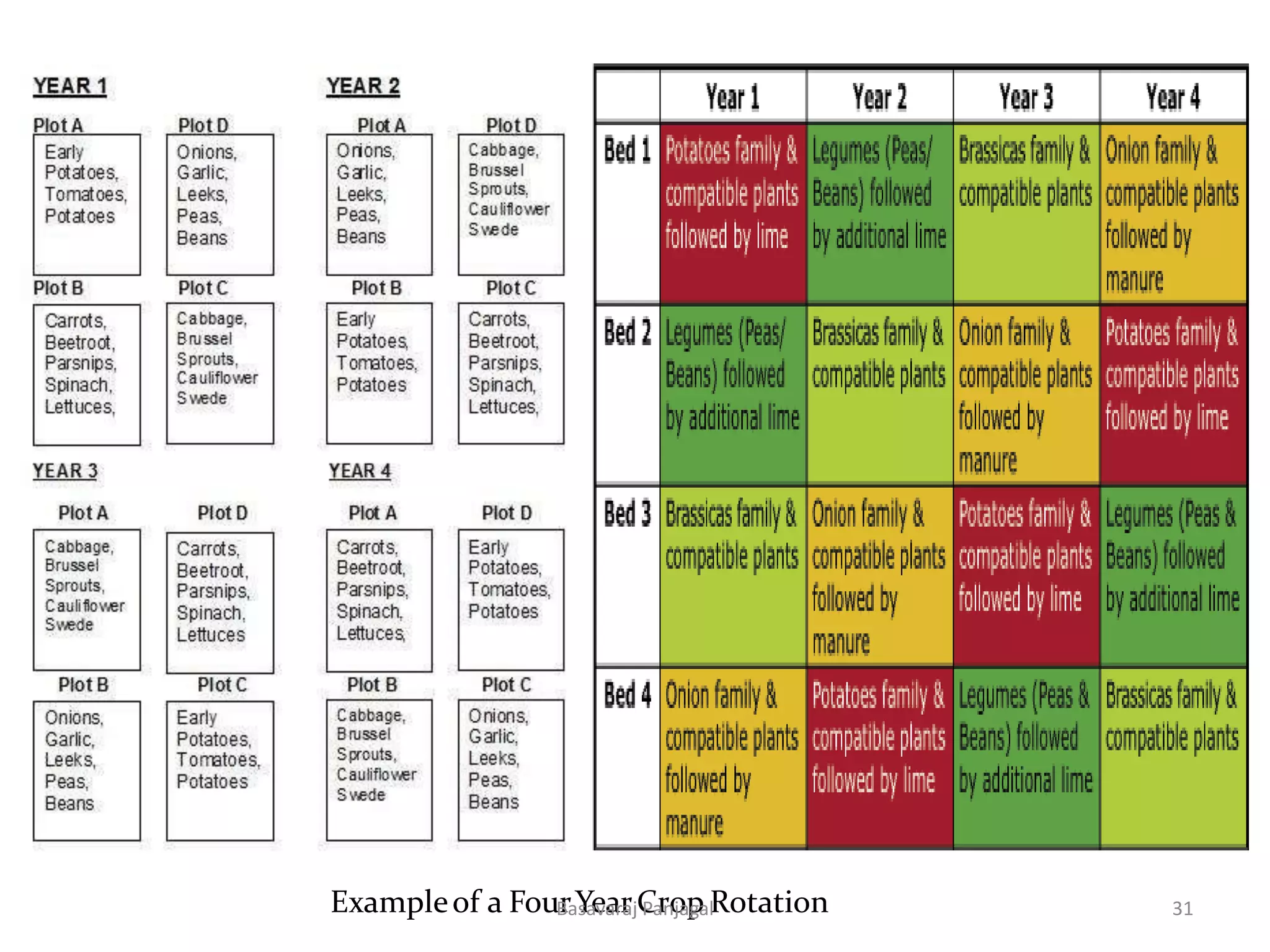 Exampleof a FourYearCrop Rotation 31
Basavaraj Panjagal
 