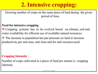vegetable based cropping systems | PDF