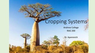 Cropping Systems
Andrew College
RAG 200
Dr. Apanovich
 