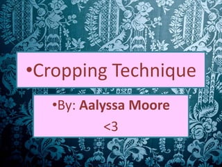 •Cropping Technique
  •By: Aalyssa Moore
           <3
 