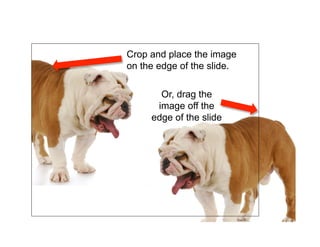 Crop and place the image
on the edge of the slide.

       Or, drag the
      image off the
     edge of the slide
 