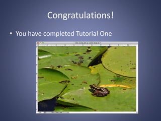 Congratulations!
• You have completed Tutorial One
 