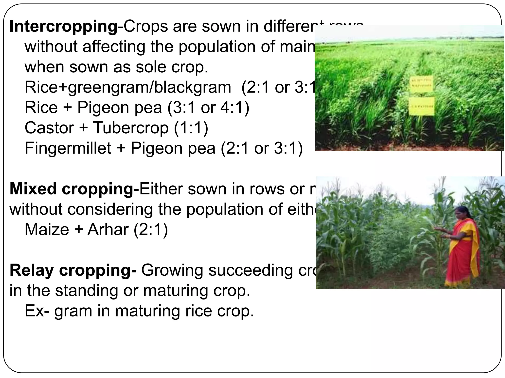 Intercropping-Crops are sown in different rows
without affecting the population of main crop
when sown as sole crop.
Rice+greengram/blackgram (2:1 or 3:1)
Rice + Pigeon pea (3:1 or 4:1)
Castor + Tubercrop (1:1)
Fingermillet + Pigeon pea (2:1 or 3:1)
Mixed cropping-Either sown in rows or mixed
without considering the population of either.
Maize + Arhar (2:1)
Relay cropping- Growing succeeding crop
in the standing or maturing crop.
Ex- gram in maturing rice crop.
 