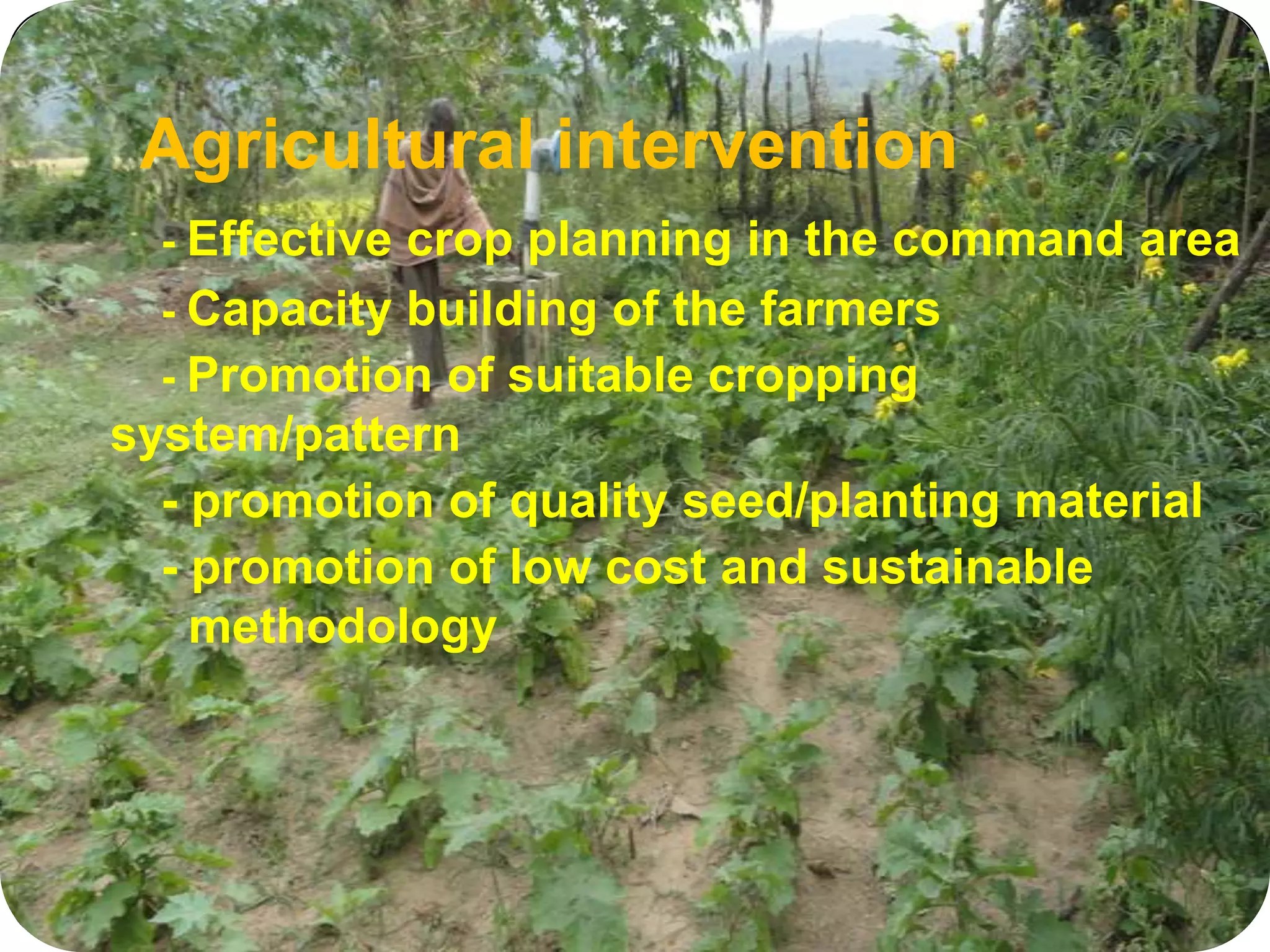 Agricultural intervention
- Effective crop planning in the command area
- Capacity building of the farmers
- Promotion of suitable cropping
system/pattern
- promotion of quality seed/planting material
- promotion of low cost and sustainable
methodology
 