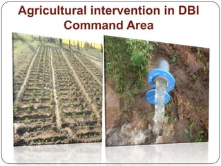 Agricultural intervention in DBI
Command Area
 