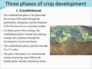 Crop planning | PPTX