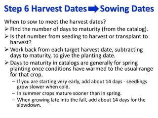 Step 6 Harvest Dates Sowing Dates
When to sow to meet the harvest dates?
 Find the number of days to maturity (from the c...