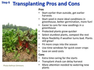 Transplanting Pros and Cons
Pros
• Start earlier than outside, get earlier
harvests
• Start seed in more ideal conditions ...