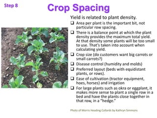 Crop Spacing
Yield is related to plant density.
 Area per plant is the important bit, not
particular row spacing.
 There...