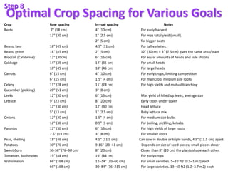 Optimal Crop Spacing for Various Goals
Crop Row spacing In-row spacing Notes
Beets 7" (18 cm) 4" (10 cm) For early harvest...