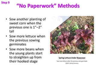 “No Paperwork” Methods
• Sow another planting of
sweet corn when the
previous one is 1”–2"
tall
• Sow more lettuce when
th...